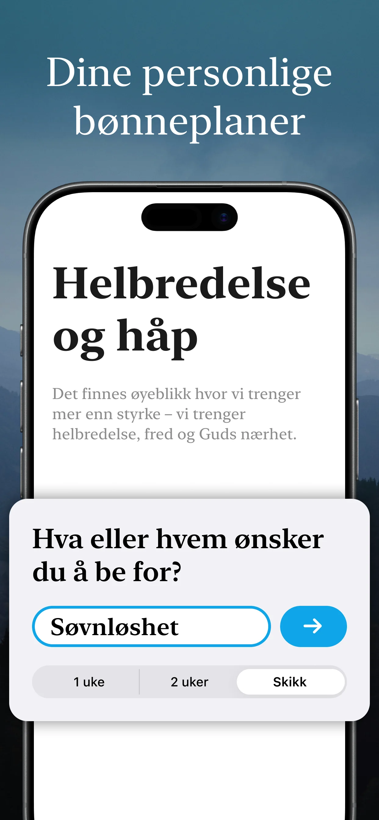 Forhåndsvisning 1